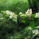 대성목장 이미지