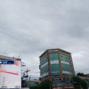 서울서남부농협하나로마트 보라매점 | 2025년10월9일 - 가을까지 피는 꽃을... 왜 뽑고 또 심을까 ?