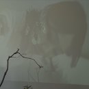 유진아울렛 이미지