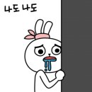 도리호