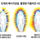 치유 기반 테라피 솔루션 엘라비 이용후기