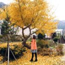 곡성산림마트 | [곡성펜션추천] 곡성나무펜션