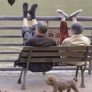 돼지두마리 이미지