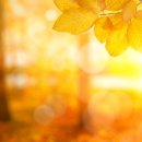 컷트클럽 이미지