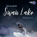 서울시티발레단 백조의 호수 이미지