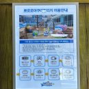 pet182너3767 | 경주아이랑 경주물놀이하기 좋은 한화리조트 경주 뽀로로 아쿠아빌리지(입장권 가격, 준비물, 푸드코트)