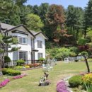 꽃무리 뜸 이미지