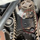 수컷웅샵 이미지