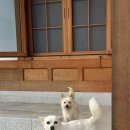 한옥(강산재) 이미지