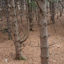 영명사 입구 이미지