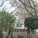 나그네 | 제주 조천 맛집 오름나그네 보말칼국수 녹진함 끝판왕 후기