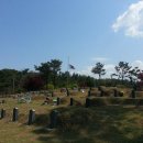 빛고을 YS 이미지