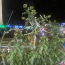 경기도 수원시 팔달구 수원천로210번길 37 (인계동) 이미지