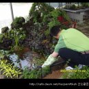 돌꽃향기 날리며 이미지