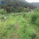 내금마을회관 이미지