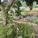 후평농장 | 시원한 나무그늘 수영장 계곡 캠핑장 괴산 승암159캠핑장(사이트 별 사진)