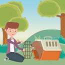 강아지 켄넬 이미지