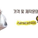 나나캣(nanacat) 네이버블로그