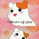 더헤이든 이미지