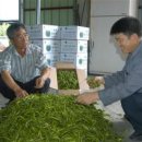 사기소리마을회관 이미지