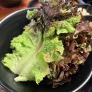 국제식당 이미지