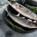 레드핏휘트니스 프리미엄 이미지