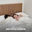 플루피 | 사계절 내내 포근한 호텔 이불브랜드 포렌 오리지널 에코플루피 차렵이불 후기