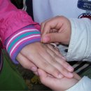 선학 어린이집 이미지