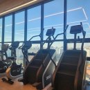 보떼 짐 이미지