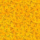 이선농장 이미지