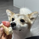 크림코피플