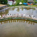 장뜰두레놀이 이미지