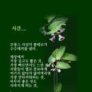 행복한 하루 이미지