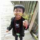 대자연어린이집 이미지