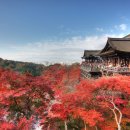 일본의 전통이 살아숨쉬는 도시, 교토(Kyoto) 단풍(Fall Foliage) 이미지