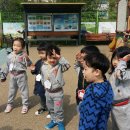 가림유치원 이미지