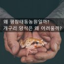 태동농장 이미지