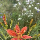 한빛나노의료기 이미지