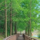 하운드기장일광 이미지