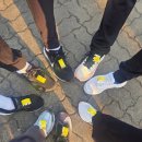 (주)놀라운맥주 | 2026 청춘릴레이 마라톤 10k 완주 후기 주차 정보와 햅스 바람막이 사이즈