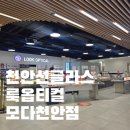 룩옵티컬모다