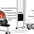 Zerone Gym 이미지