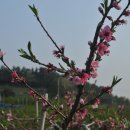 남산반곡지 이미지