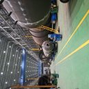 뇌손상.인공환청.기계음성 24시 음성주입.범죄 피해 ( 영혼을 뺏기고 .노예동물의 삶) 이미지