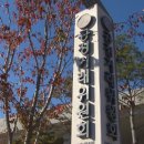 메리알동물병원 이미지