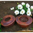 흙과 나무 이미지