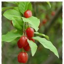 ITQ 자격증반 이미지