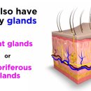 피부이야기유(YOU) 이미지
