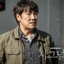 시그널 이미지