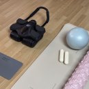 퍼펙트샵 | 홈트 끝판왕, 뱃살 순삭하는 전신 코어운동기구 퍼펙트슬라이드 솔직후기
